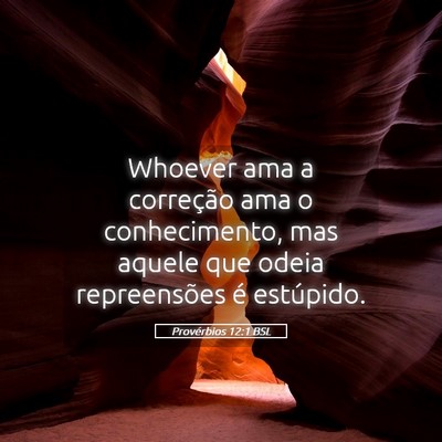 Picture 05 - Provérbios 12:1 BSL - Whoever ama a correção ama o conhecimento, mas - Bible Verse Picture