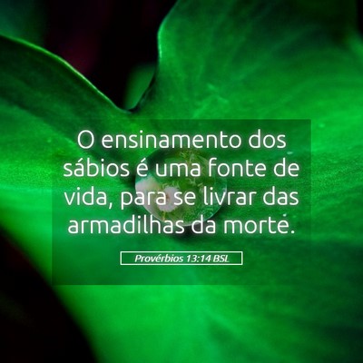 Picture 05 - Provérbios 13:14 BSL - O ensinamento dos sábios é uma fonte de vida, - Bible Verse Picture