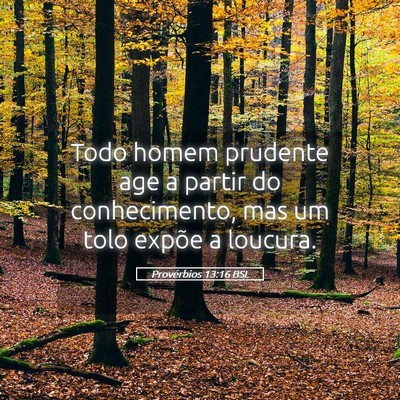 Picture 05 - Provérbios 13:16 BSL - Todo homem prudente age a partir do conhecimento, - Bible Verse Picture