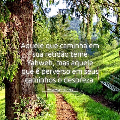 Picture 05 - Provérbios 14:2 BSL - Aquele que caminha em sua retidão teme Yahweh, - Bible Verse Picture
