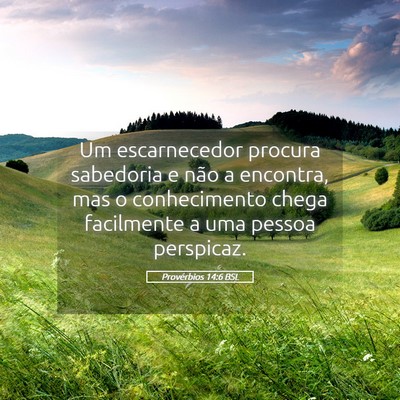 Picture 05 - Provérbios 14:6 BSL - Um escarnecedor procura sabedoria e não a - Bible Verse Picture