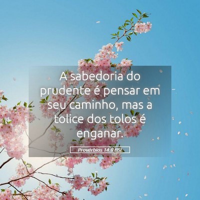 Picture 05 - Provérbios 14:8 BSL - A sabedoria do prudente é pensar em seu caminho, - Bible Verse Picture
