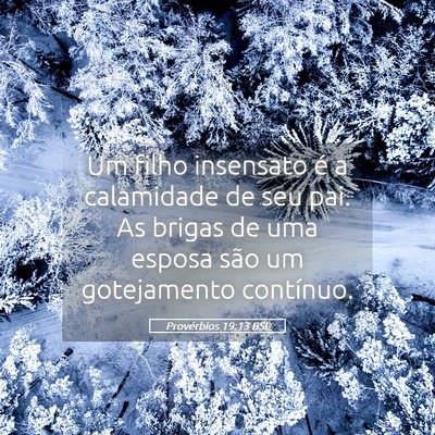 Picture 05 - Provérbios 19:13 BSL - Um filho insensato é a calamidade de seu pai. As - Bible Verse Picture