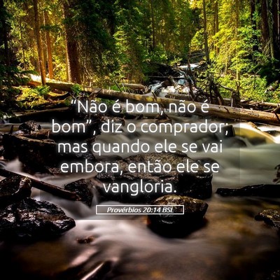 Picture 05 - Provérbios 20:14 BSL - “Não é bom, não é bom”, diz o comprador; - Bible Verse Picture