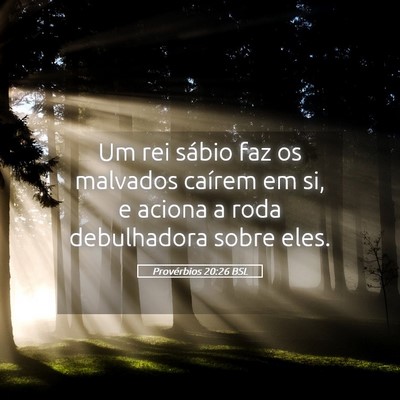 Picture 05 - Provérbios 20:26 BSL - Um rei sábio faz os malvados caírem em si, e - Bible Verse Picture