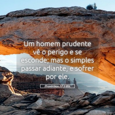 Picture 05 - Provérbios 22:3 BSL - Um homem prudente vê o perigo e se esconde; mas - Bible Verse Picture