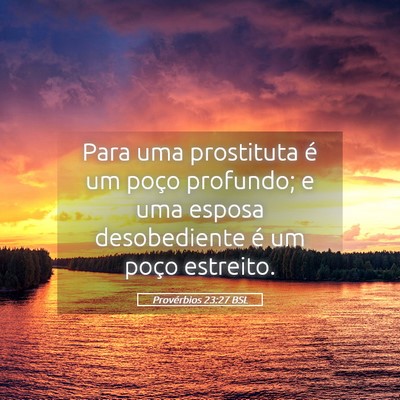 Picture 05 - Provérbios 23:27 BSL - Para uma prostituta é um poço profundo; e uma - Bible Verse Picture