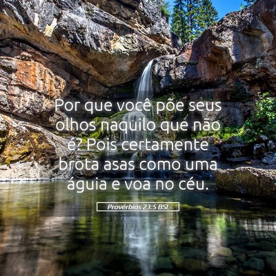 Picture 05 - Provérbios 23:5 BSL - Por que você põe seus olhos naquilo que não - Bible Verse Picture