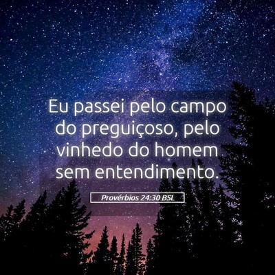 Picture 05 - Provérbios 24:30 BSL - Eu passei pelo campo do preguiçoso, pelo vinhedo - Bible Verse Picture