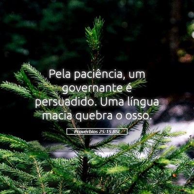 Picture 05 - Provérbios 25:15 BSL - Pela paciência, um governante é persuadido. Uma - Bible Verse Picture