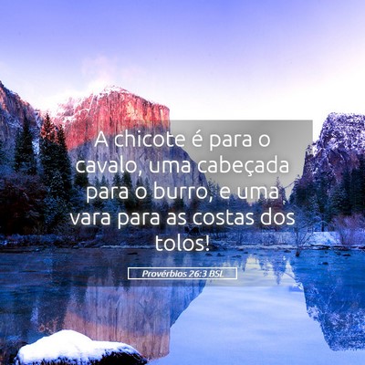 Picture 05 - Provérbios 26:3 BSL - A chicote é para o cavalo, uma cabeçada para o - Bible Verse Picture