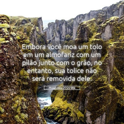 Picture 05 - Provérbios 27:22 BSL - Embora você moa um tolo em um almofariz com um - Bible Verse Picture