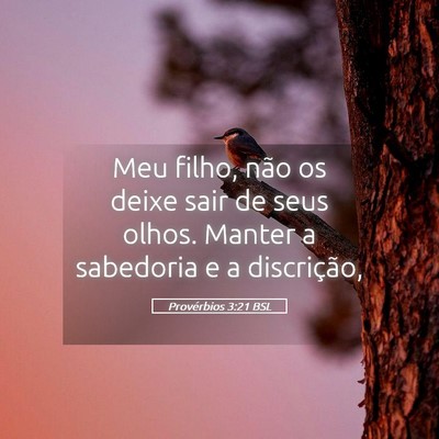 Picture 05 - Provérbios 3:21 BSL - Meu filho, não os deixe sair de seus olhos. - Bible Verse Picture
