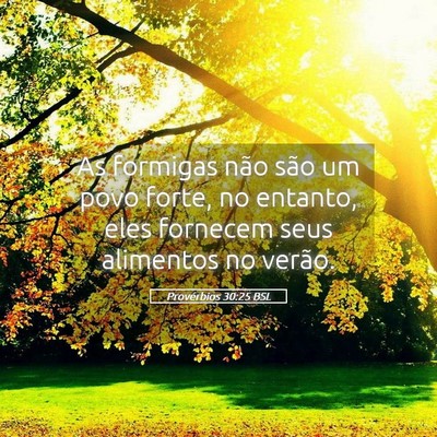Picture 05 - Provérbios 30:25 BSL - As formigas não são um povo forte, no entanto, - Bible Verse Picture