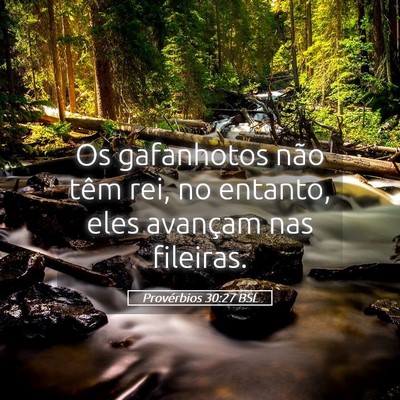Picture 05 - Provérbios 30:27 BSL - Os gafanhotos não têm rei, no entanto, eles - Bible Verse Picture