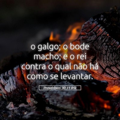 Picture 05 - Provérbios 30:31 BSL - o galgo; o bode macho; e o rei contra o qual não - Bible Verse Picture