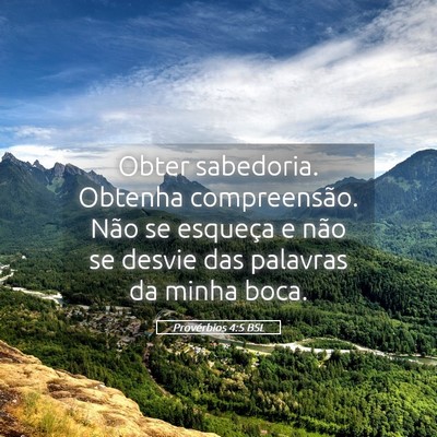 Picture 05 - Provérbios 4:5 BSL - Obter sabedoria. Obtenha compreensão. Não se - Bible Verse Picture