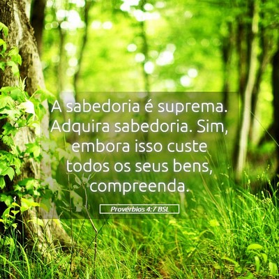 Picture 05 - Provérbios 4:7 BSL - A sabedoria é suprema. Adquira sabedoria. Sim, - Bible Verse Picture