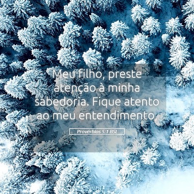 Picture 05 - Provérbios 5:1 BSL - Meu filho, preste atenção à minha sabedoria. - Bible Verse Picture
