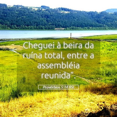 Picture 05 - Provérbios 5:14 BSL - Cheguei à beira da ruína total, entre a - Bible Verse Picture