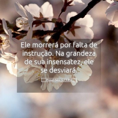 Picture 05 - Provérbios 5:23 BSL - Ele morrerá por falta de instrução. Na - Bible Verse Picture
