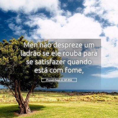 Picture 05 - Provérbios 6:30 BSL - Men não despreze um ladrão se ele rouba para se - Bible Verse Picture