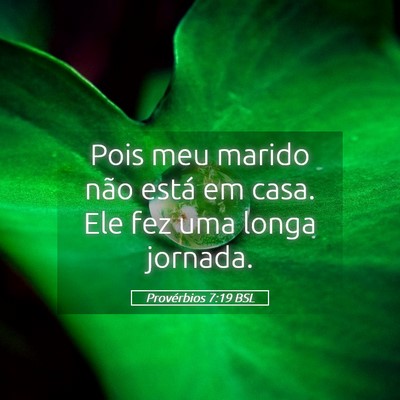 Picture 05 - Provérbios 7:19 BSL - Pois meu marido não está em casa. Ele fez uma - Bible Verse Picture