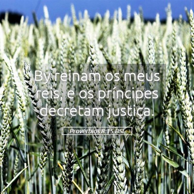 Picture 05 - Provérbios 8:15 BSL - By reinam os meus reis, e os príncipes decretam - Bible Verse Picture