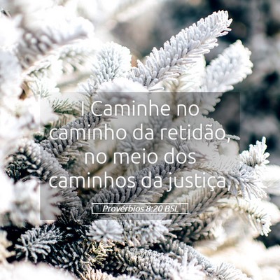 Picture 05 - Provérbios 8:20 BSL - I Caminhe no caminho da retidão, no meio dos - Bible Verse Picture