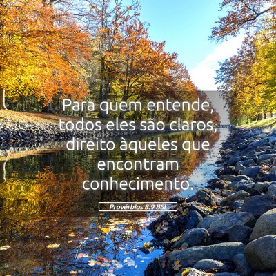 Picture 05 - Provérbios 8:9 BSL - Para quem entende, todos eles são claros, - Bible Verse Picture