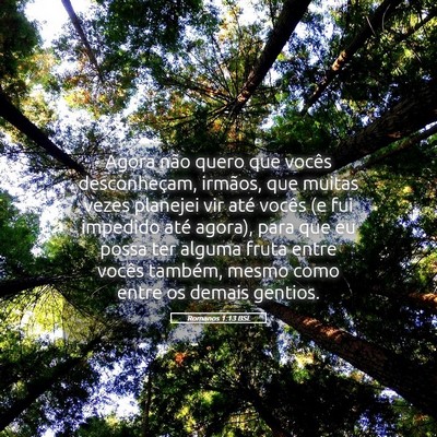 Picture 05 - Romanos 1:13 BSL - Agora não quero que vocês desconheçam, - Bible Verse Picture