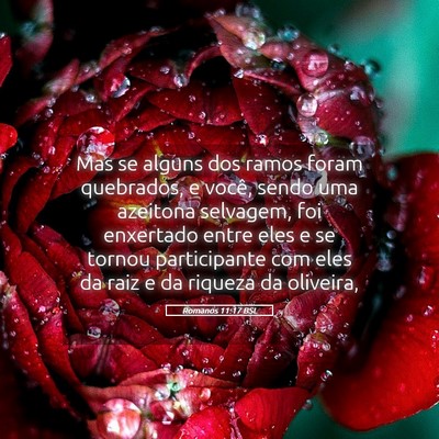 Picture 05 - Romanos 11:17 BSL - Mas se alguns dos ramos foram quebrados, e você, - Bible Verse Picture