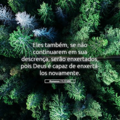 Picture 05 - Romanos 11:23 BSL - Eles também, se não continuarem em sua - Bible Verse Picture