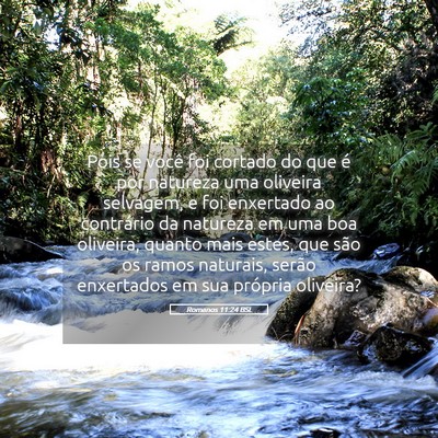 Picture 05 - Romanos 11:24 BSL - Pois se você foi cortado do que é por natureza - Bible Verse Picture