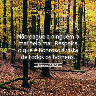 Picture 05 - Romanos 12:17 BSL - Não pague a ninguém o mal pelo mal. Respeite o - Bible Verse Picture