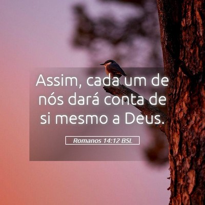 Picture 05 - Romanos 14:12 BSL - Assim, cada um de nós dará conta de si mesmo a - Bible Verse Picture