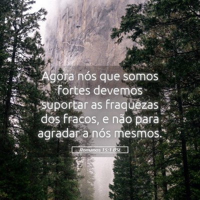 Picture 05 - Romanos 15:1 BSL - Agora nós que somos fortes devemos suportar as - Bible Verse Picture