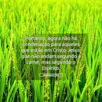 Picture 05 - Romanos 8:1 BSL - Portanto, agora não há condenação para - Bible Verse Picture