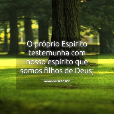 Picture 05 - Romanos 8:16 BSL - O próprio Espírito testemunha com nosso - Bible Verse Picture