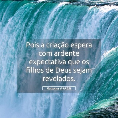 Picture 05 - Romanos 8:19 BSL - Pois a criação espera com ardente expectativa - Bible Verse Picture