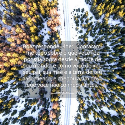 Picture 05 - Rute 2:11 BSL - Boaz respondeu-lhe: “Contaram-me tudo sobre o - Bible Verse Picture