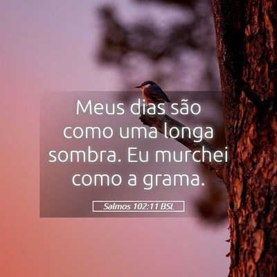 Picture 05 - Salmos 102:11 BSL - Meus dias são como uma longa sombra. Eu murchei - Bible Verse Picture