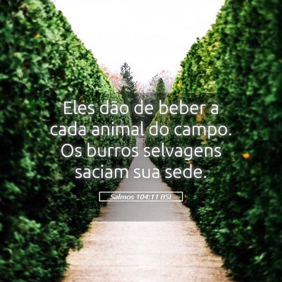 Picture 05 - Salmos 104:11 BSL - Eles dão de beber a cada animal do campo. Os - Bible Verse Picture