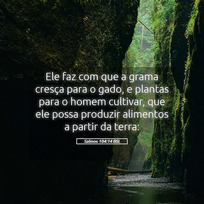 Picture 05 - Salmos 104:14 BSL - Ele faz com que a grama cresça para o gado, e - Bible Verse Picture