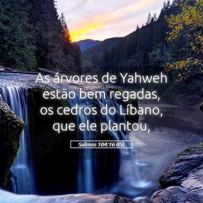 Picture 05 - Salmos 104:16 BSL - As árvores de Yahweh estão bem regadas, os - Bible Verse Picture
