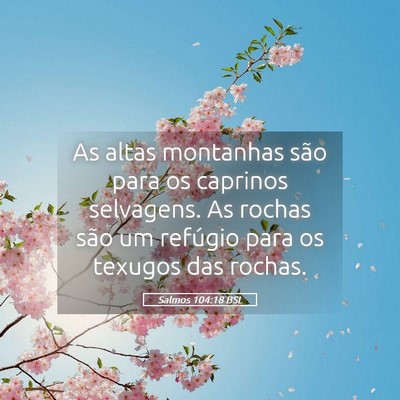 Picture 05 - Salmos 104:18 BSL - As altas montanhas são para os caprinos - Bible Verse Picture