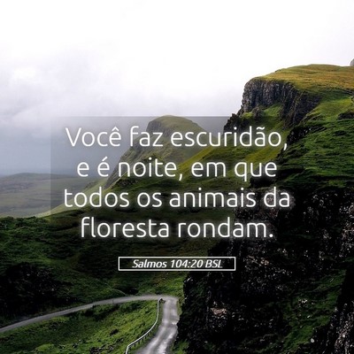 Picture 05 - Salmos 104:20 BSL - Você faz escuridão, e é noite, em que todos os - Bible Verse Picture