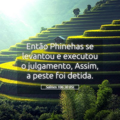 Picture 05 - Salmos 106:30 BSL - Então Phinehas se levantou e executou o - Bible Verse Picture
