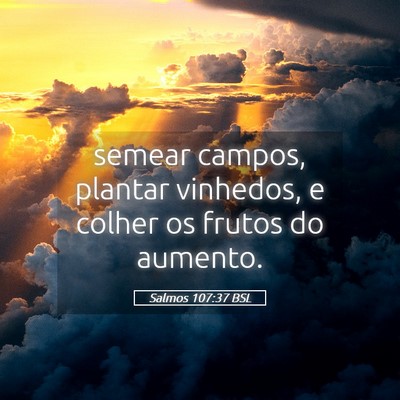 Picture 05 - Salmos 107:37 BSL - semear campos, plantar vinhedos, e colher os - Bible Verse Picture