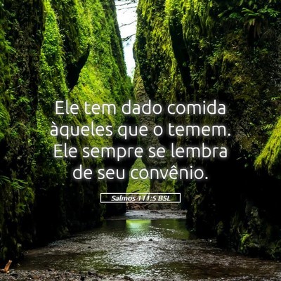 Picture 05 - Salmos 111:5 BSL - Ele tem dado comida àqueles que o temem. Ele - Bible Verse Picture